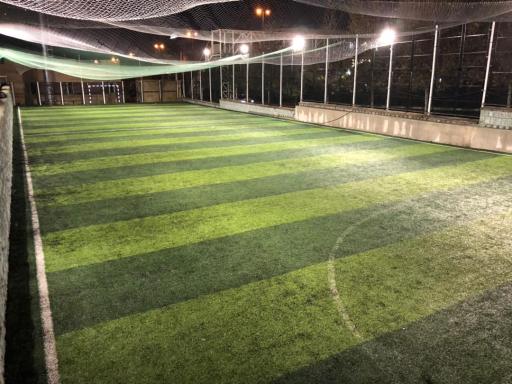 عکس زمین چمن غروی