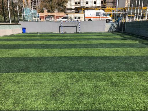 عکس زمین چمن غروی