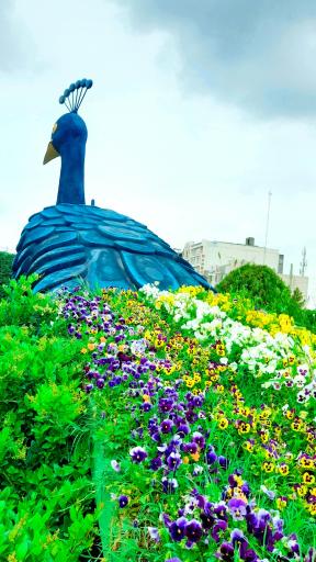 عکس میدان ولیعصر