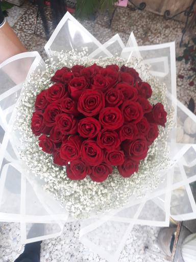 عکس گل مادر