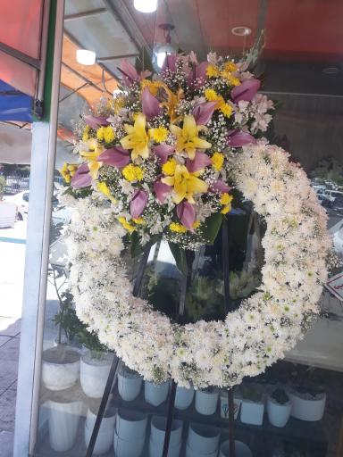 عکس گل مادر