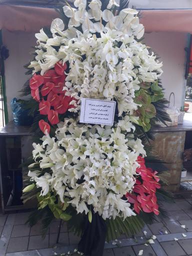 عکس گل مادر