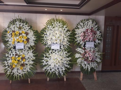 عکس گل مادر