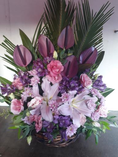 عکس گل مادر