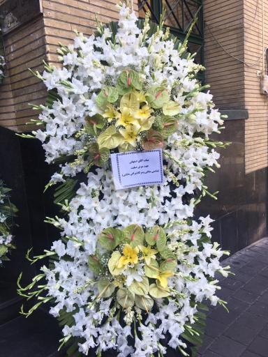 عکس گل مادر