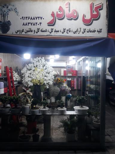 عکس گل مادر