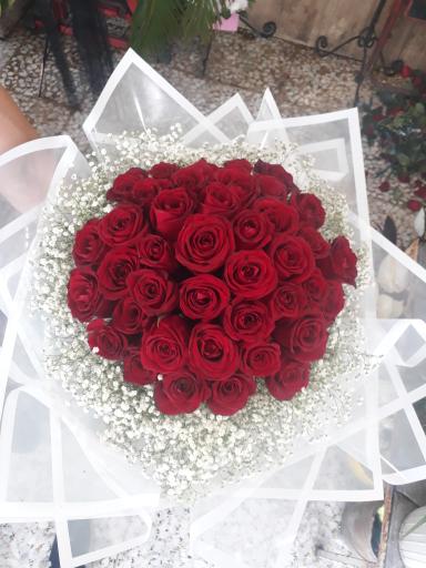 عکس گل مادر