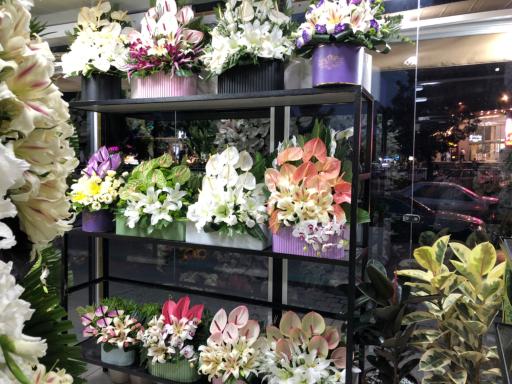 عکس گل مادر