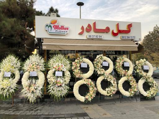 عکس گل مادر