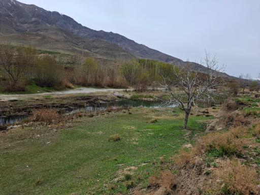 عکس ملوسان