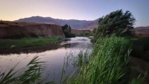 عکس ملوسان