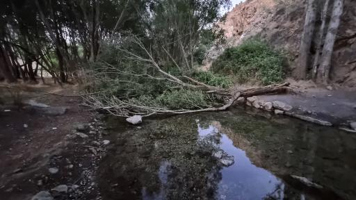 عکس ملوسان