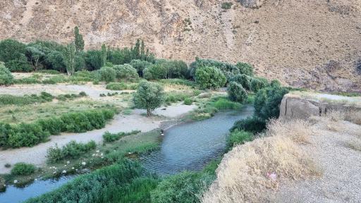 عکس ملوسان