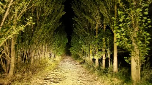 عکس ملوسان