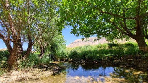 عکس ملوسان