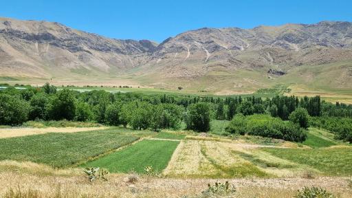 عکس ملوسان