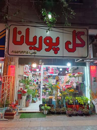 عکس گل پوریانا