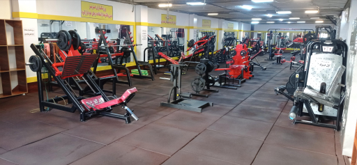 عکس مجموعه ورزشی ستارگان شریف