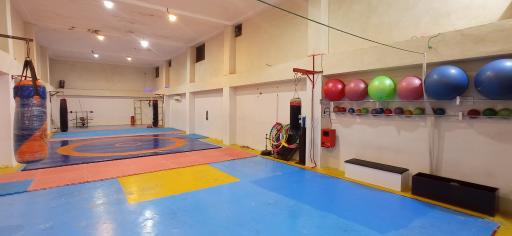 عکس مجموعه ورزشی ستارگان شریف