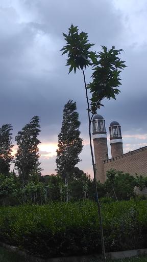 عکس مسجد باغ موزه قصر