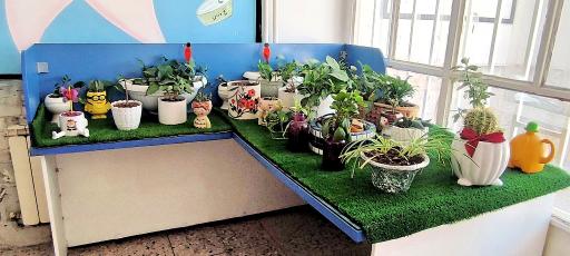 عکس دبستان دخترانه شهدای سیس آباد