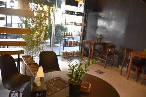 عکس قهوه دستا