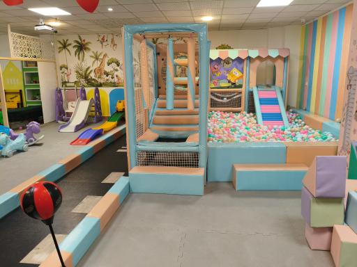 عکس خانه بازی و سرگرمی طلاش