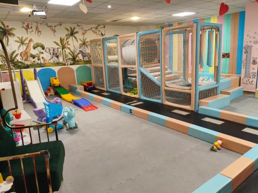 عکس خانه بازی و سرگرمی طلاش