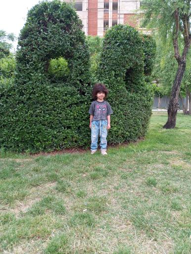 عکس پارک شهرک نیایش