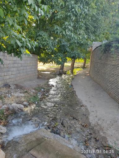 عکس مزایجان