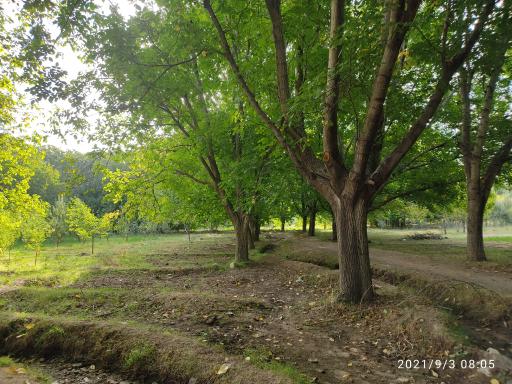 عکس مزایجان