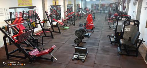 عکس مجموعه ورزشی ستارگان شریف