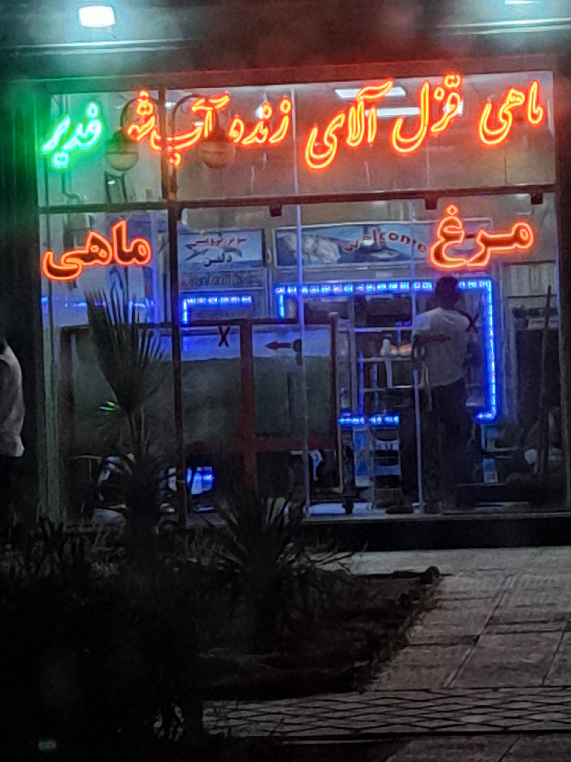 عکس ماهی قزل آلا زنده آب شور غدیر