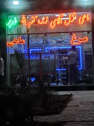 عکس ماهی قزل آلا زنده آب شور غدیر