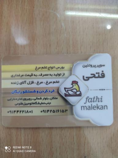 عکس پروتئین سرای فتحی