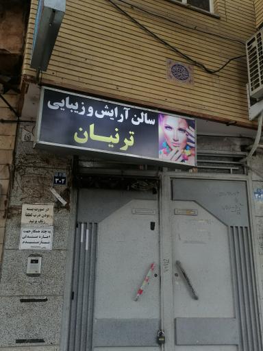 عکس سالن آرایش و زیبایی ترنیان