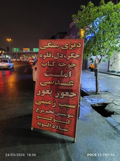 عکس کبابی 