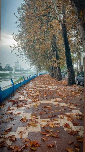 عکس بابلرود