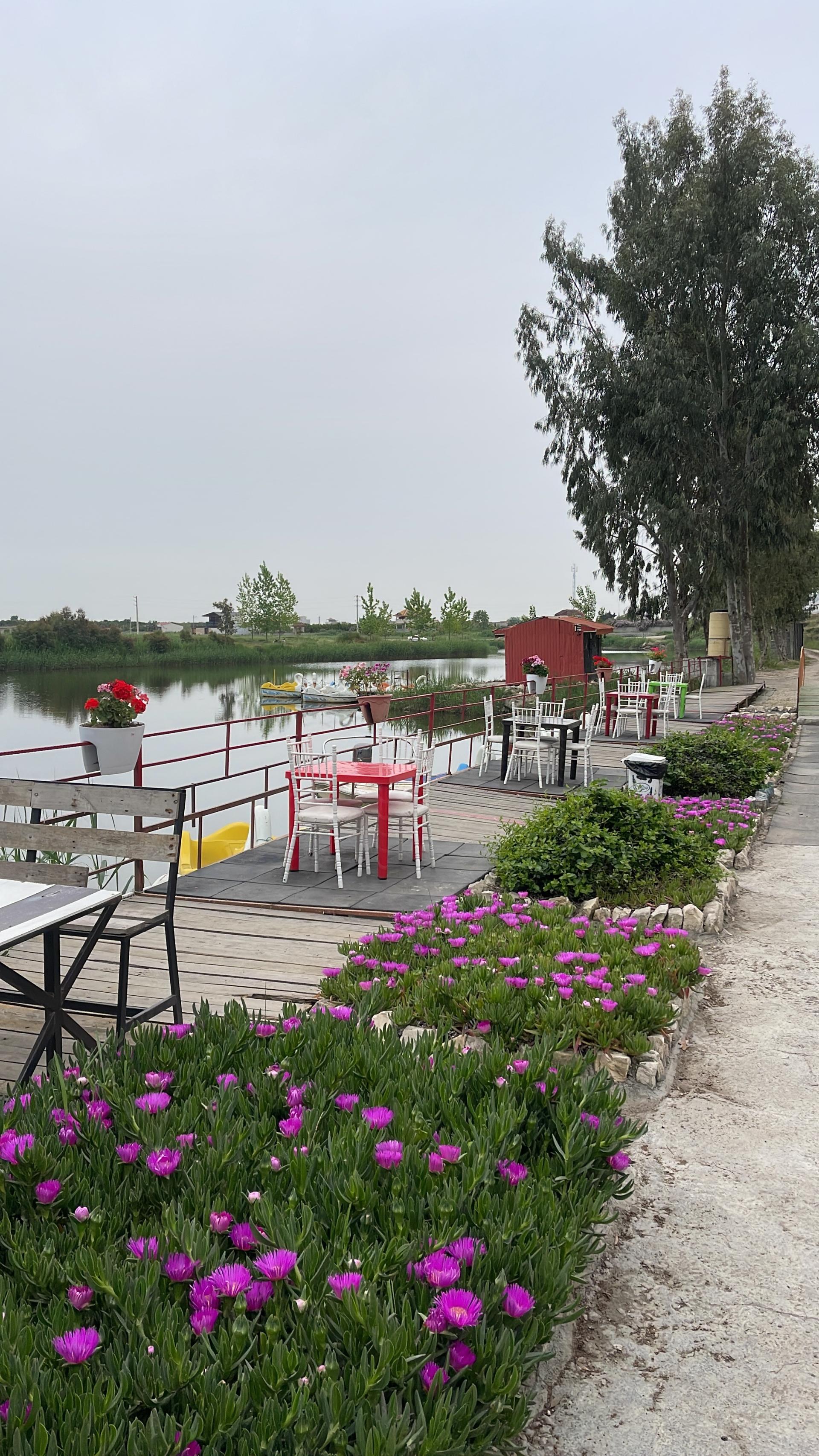 عکس تالاب گیسو طلایی