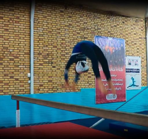 عکس باشگاه ورزشی ژیمناستیک برتر