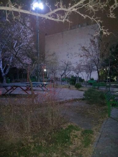 عکس بوستان پایدارفرد