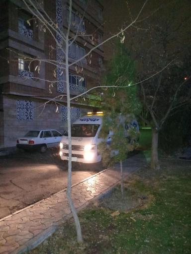 عکس بوستان پایدارفرد