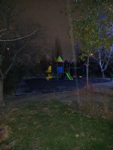 عکس بوستان پایدارفرد