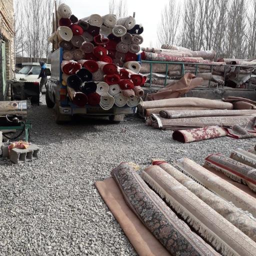عکس قالیشویی گلبهار