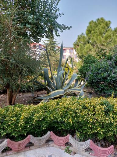 عکس هتل باغ ارغوان رامسر 