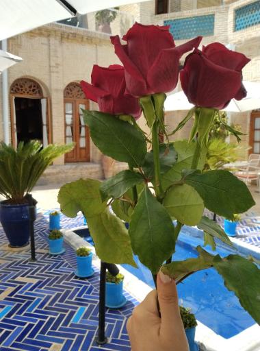 هتل بوتیک صارم الدوله (ونوشک)