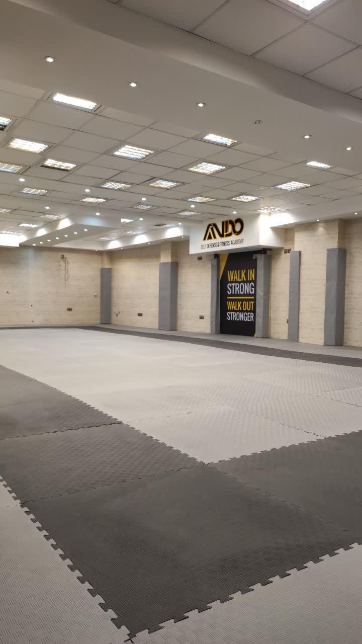 عکس باشگاه رزمی آندو