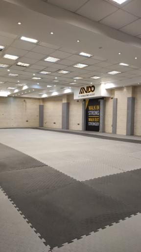 عکس باشگاه رزمی آندو