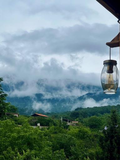 عکس اقامتگاه جنگلی برکه
