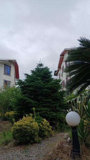 عکس هتل باغ ارغوان رامسر 